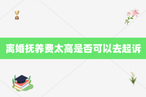 离婚抚养费太高是否可以去起诉