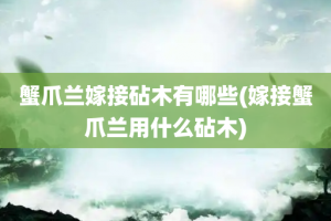 蟹爪兰嫁接砧木有哪些(嫁接蟹爪兰用什么砧木)