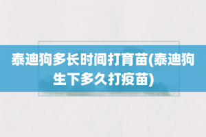 泰迪狗多长时间打育苗(泰迪狗生下多久打疫苗)