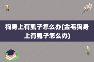狗身上有虱子怎么办(金毛狗身上有虱子怎么办)