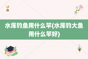 水库钓鱼用什么竿(水库钓大鱼用什么竿好)