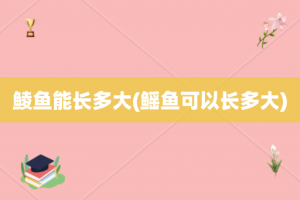 鲮鱼能长多大(鳐鱼可以长多大)
