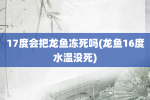 17度会把龙鱼冻死吗(龙鱼16度水温没死)