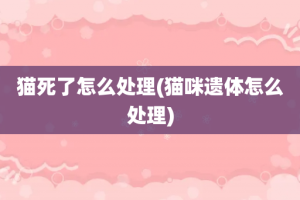猫死了怎么处理(猫咪遗体怎么处理)