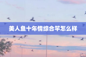 美人鱼十年情综合竿怎么样