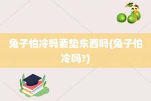 兔子怕冷吗要垫东西吗(兔子怕冷吗?)