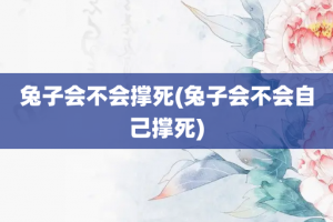 兔子会不会撑死(兔子会不会自己撑死)