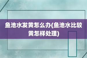 鱼池水发黄怎么办(鱼池水比较黄怎样处理)