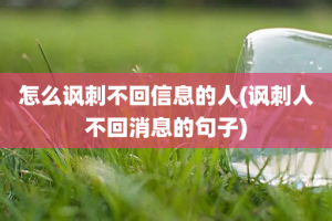 怎么讽刺不回信息的人(讽刺人不回消息的句子)