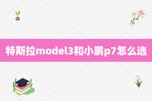 特斯拉model3和小鹏p7怎么选