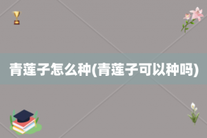 青莲子怎么种(青莲子可以种吗)