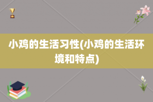 小鸡的生活习性(小鸡的生活环境和特点)