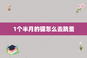 1个半月的猫怎么去跳蚤