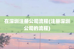 在深圳注册公司流程(注册深圳公司的流程)