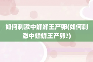 如何刺激中蜂蜂王产卵(如何刺激中蜂蜂王产卵?)