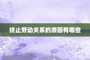 终止劳动关系的原因有哪些