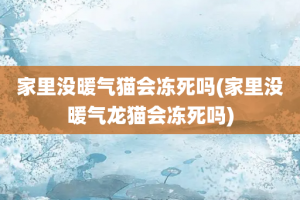 家里没暖气猫会冻死吗(家里没暖气龙猫会冻死吗)