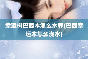 幸运树巴西木怎么水养(巴西幸运木怎么浇水)