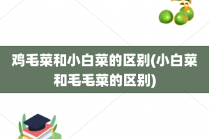 鸡毛菜和小白菜的区别(小白菜和毛毛菜的区别)