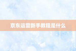 京东运营新手教程是什么
