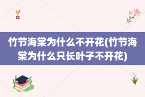 竹节海棠为什么不开花(竹节海棠为什么只长叶子不开花)