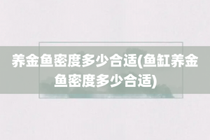 养金鱼密度多少合适(鱼缸养金鱼密度多少合适)