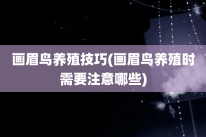 画眉鸟养殖技巧(画眉鸟养殖时需要注意哪些)