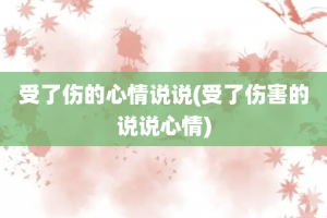 受了伤的心情说说(受了伤害的说说心情)