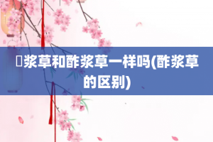 醡浆草和酢浆草一样吗(酢浆草的区别)