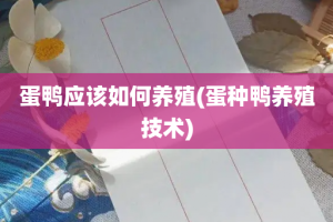 蛋鸭应该如何养殖(蛋种鸭养殖技术)