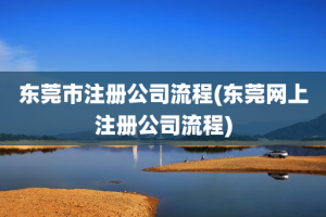 东莞市注册公司流程(东莞网上注册公司流程)