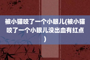 被小猫咬了一个小眼儿(被小猫咬了一个小眼儿没出血有红点)