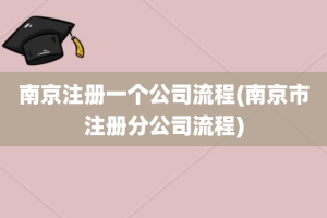 南京注册一个公司流程(南京市注册分公司流程)