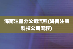 海南注册分公司流程(海南注册科技公司流程)