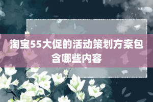 淘宝55大促的活动策划方案包含哪些内容