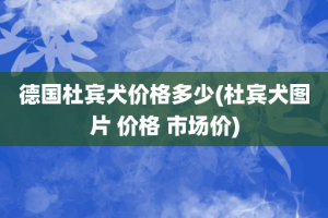 德国杜宾犬价格多少(杜宾犬图片 价格 市场价)