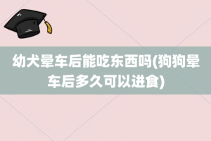 幼犬晕车后能吃东西吗(狗狗晕车后多久可以进食)