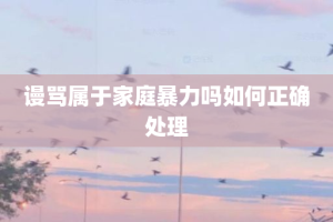 谩骂属于家庭暴力吗如何正确处理