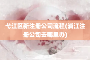 弋江区新注册公司流程(浦江注册公司去哪里办)