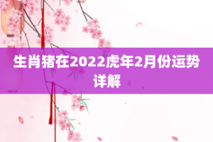 生肖猪在2022虎年2月份运势详解