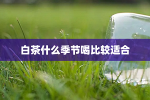 白茶什么季节喝比较适合