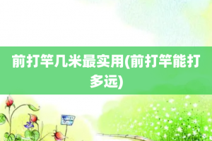 前打竿几米最实用(前打竿能打多远)