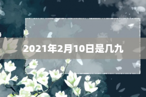 2021年2月10日是几九