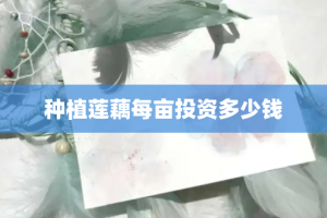 种植莲藕每亩投资多少钱