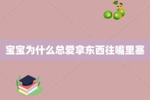 宝宝为什么总爱拿东西往嘴里塞