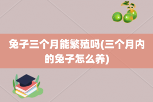 兔子三个月能繁殖吗(三个月内的兔子怎么养)