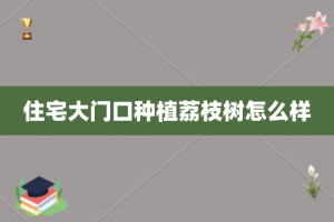 住宅大门口种植荔枝树怎么样