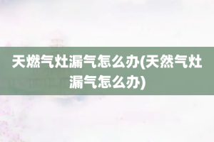 天燃气灶漏气怎么办(天然气灶漏气怎么办)