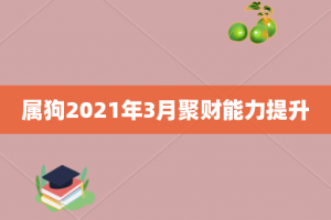 属狗2021年3月聚财能力提升