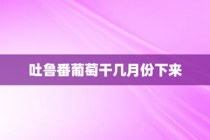 吐鲁番葡萄干几月份下来